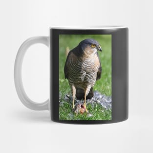 Sparrowhawk Mug